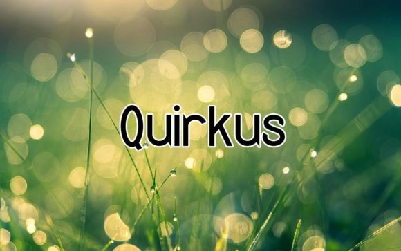 Quirkus: A Bold Display Font That Elevates Your Creative and Professional Work